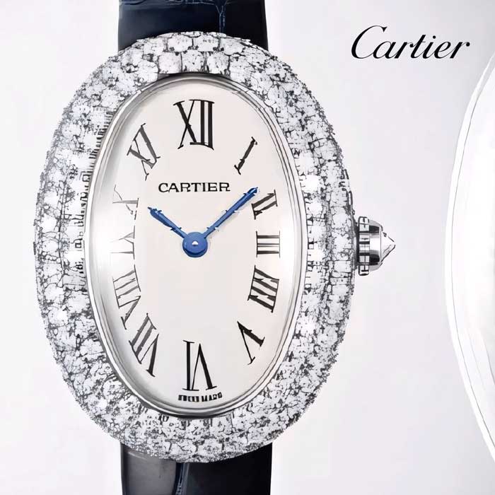 $20,000 Cartier Watch